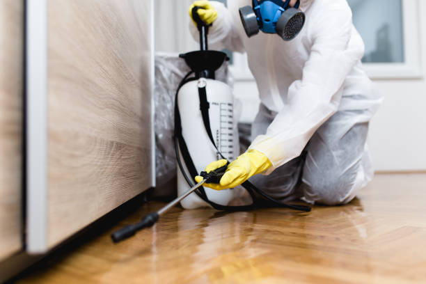 Best Pest Control for Restaurants  in Winfield, IA