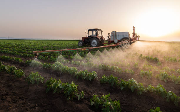 Best Commercial Pest Control Services  in Winfield, IA