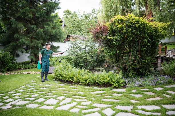 Best Wasp Removal Services  in Winfield, IA
