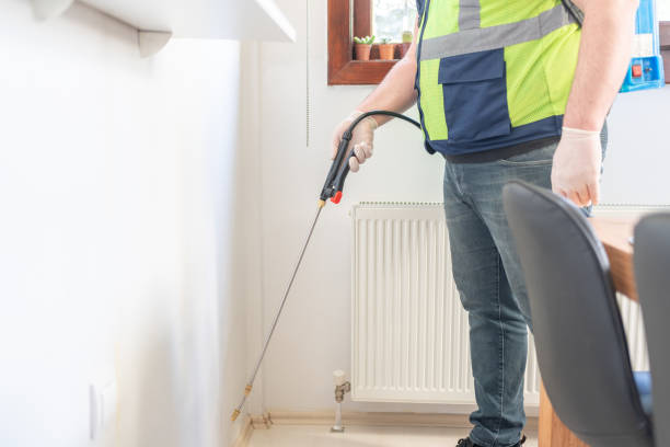 Best Wasp Removal Services  in Winfield, IA