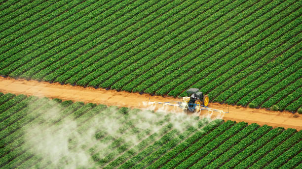 Best Ant Control Services  in Winfield, IA
