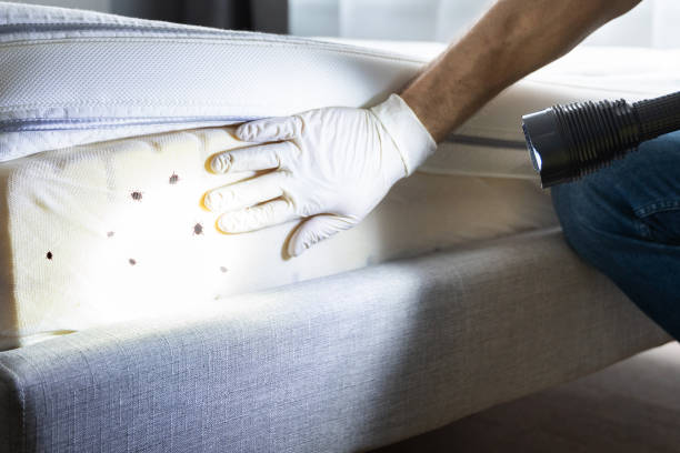 Best Local Pest Control Services  in Winfield, IA