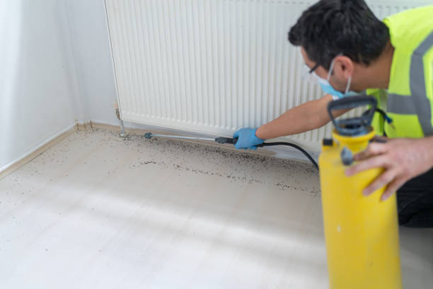 Best Affordable Pest Control Services  in Winfield, IA