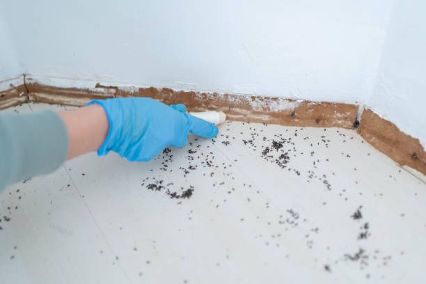 Best Pest Prevention Services  in Winfield, IA