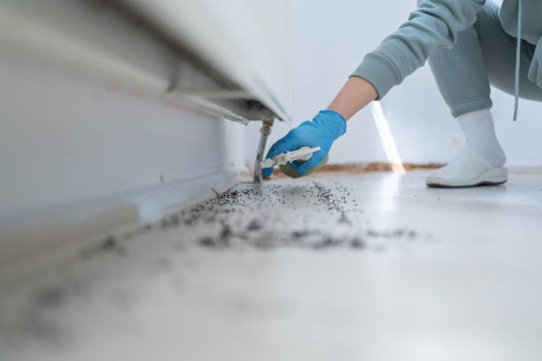 Best Wildlife Control Services  in Winfield, IA