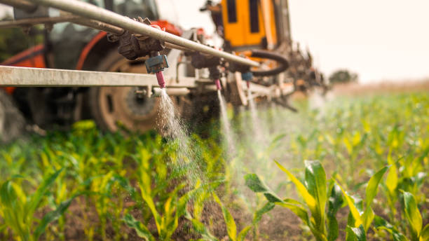Best Pest Control Near Me in Winfield, IA
