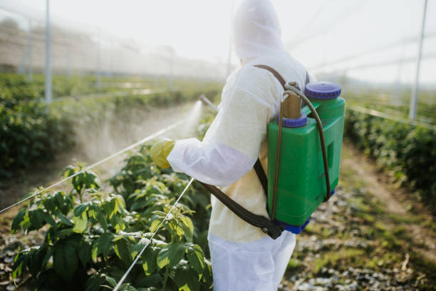 Best Best Pest Control Companies  in Winfield, IA